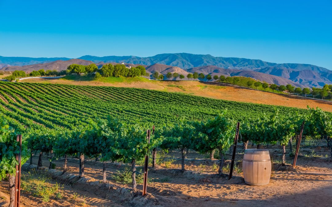 Join Xobee at the World Ag Expo