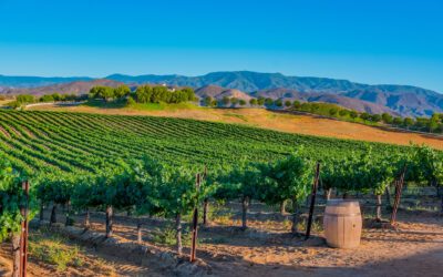 Join Xobee at the World Ag Expo