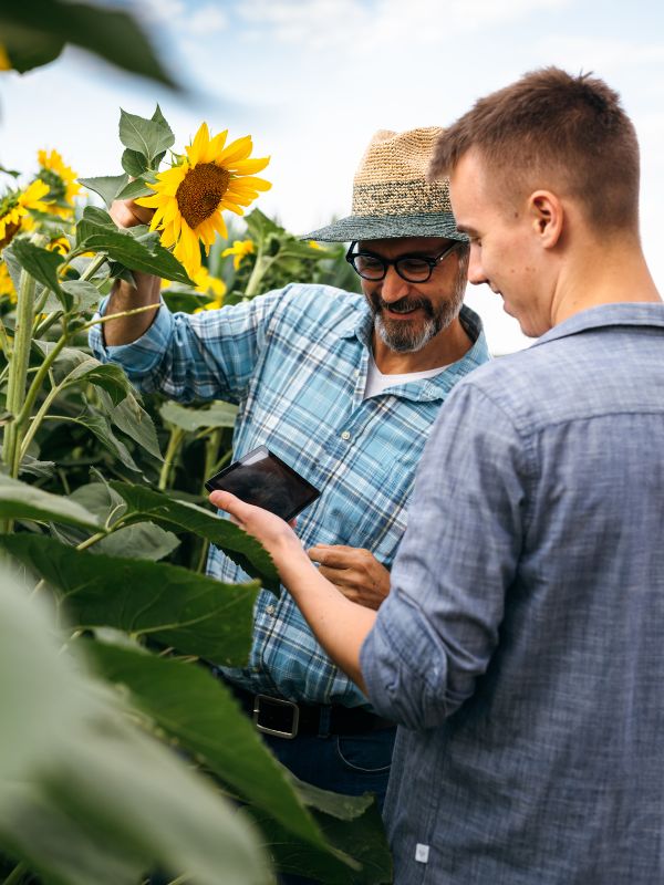 agriculture managed IT services