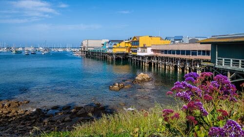 Monterey managed IT services